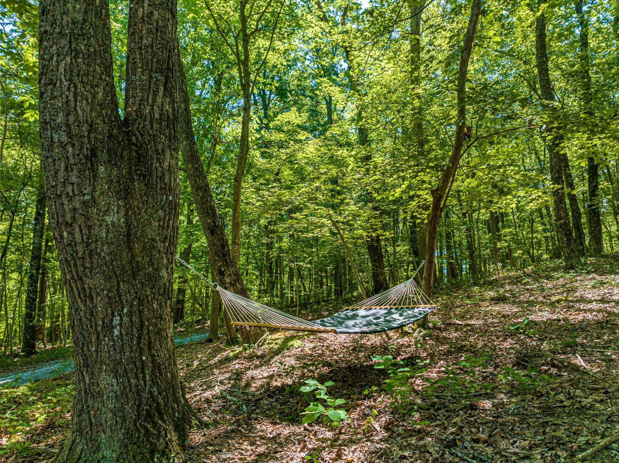 Coyote Cabin At Woodland Retreat At Desoto Beside Desoto State Park Fort Payne Exterior photo